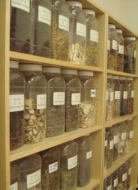 Acupuncture and Herbs 722590 Image 6